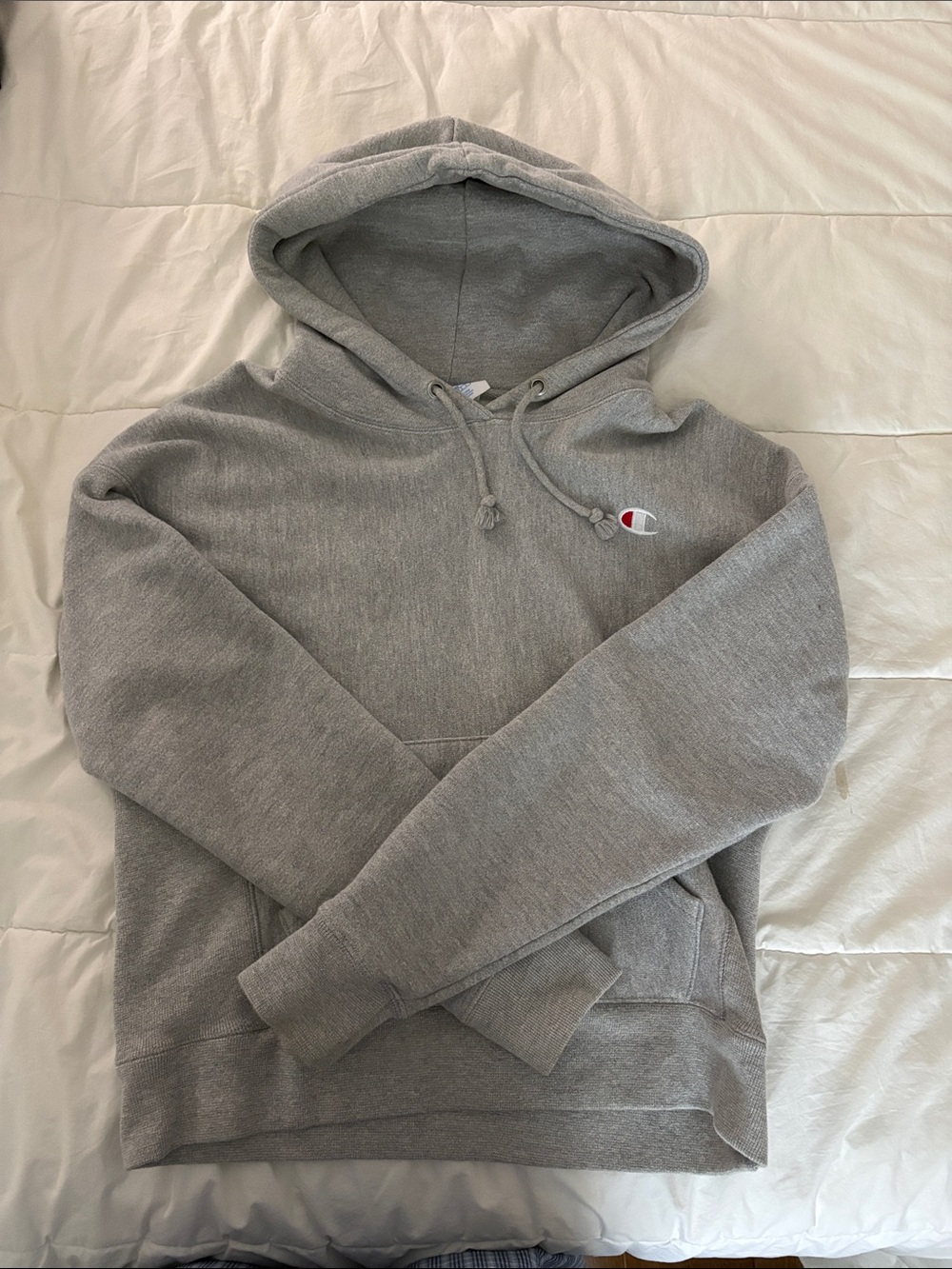 Champion Gray Hooded Sweatshirt